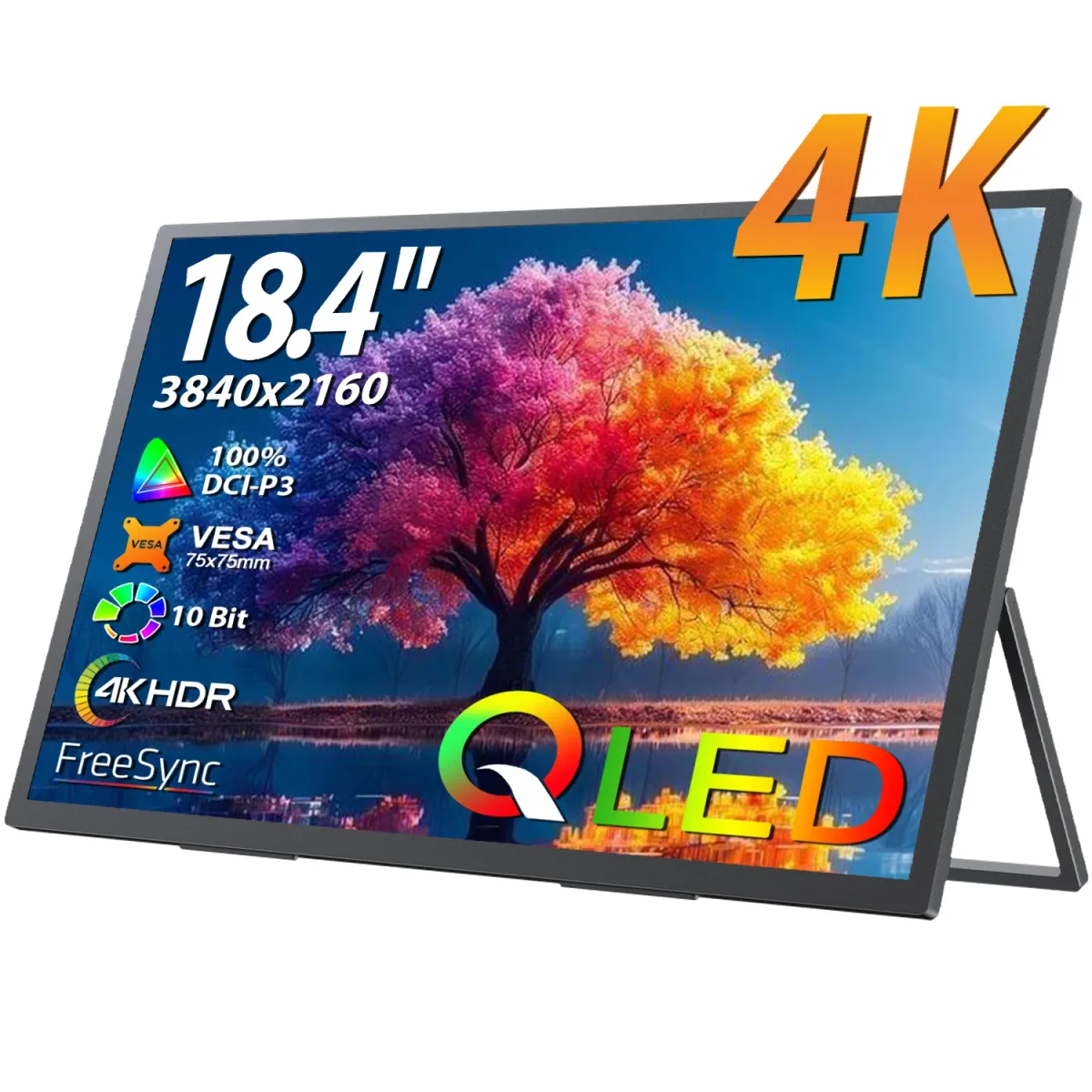 Moniteur portable 4K IPS de 18,4 pouces